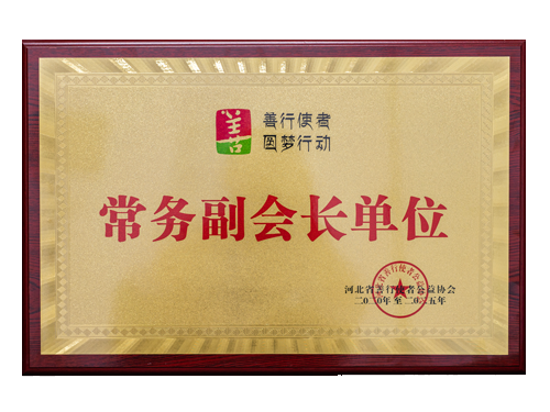 常务副会长单位